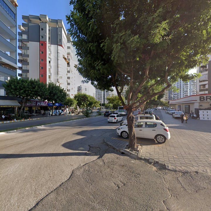 Fotoğraf 8