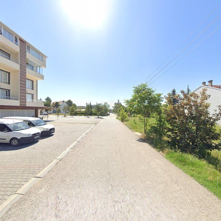 Fotoğraf 8