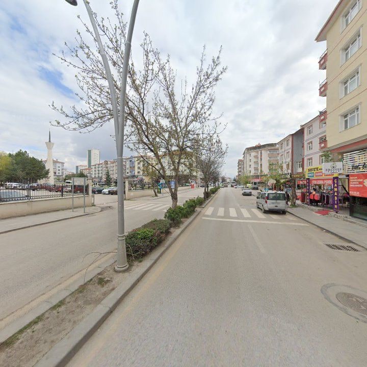 Fotoğraf 8