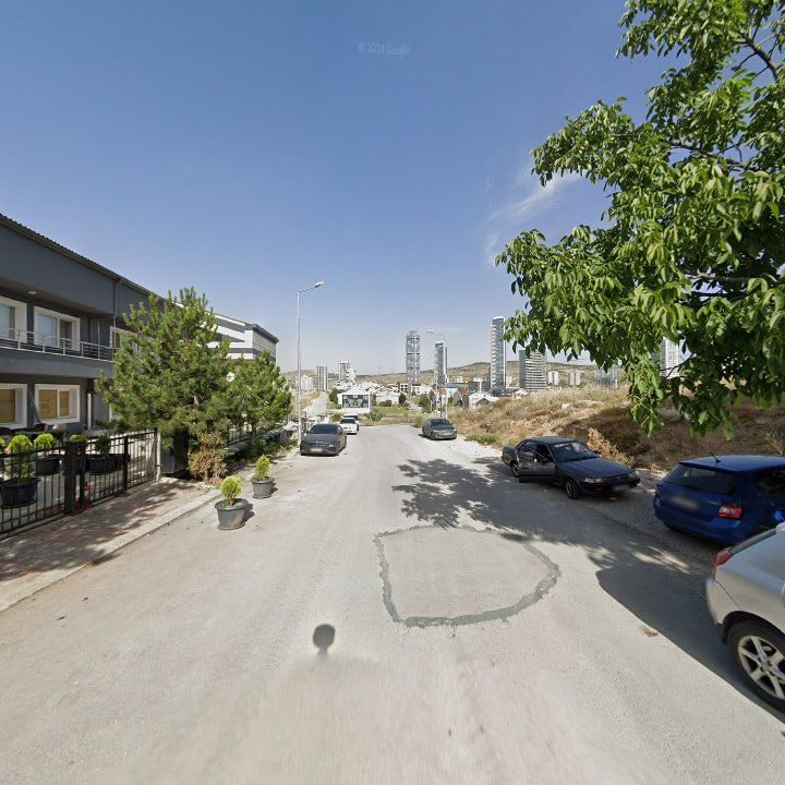 Fotoğraf 6