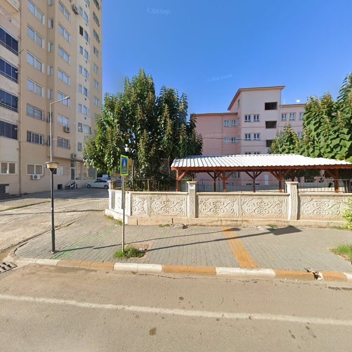 Fotoğraf 10