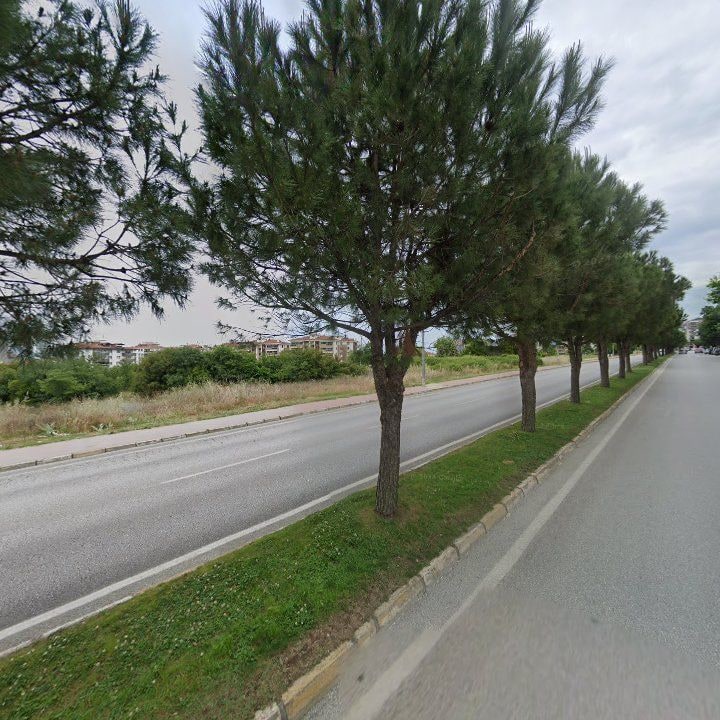 Fotoğraf 10