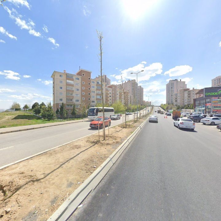 Fotoğraf 12