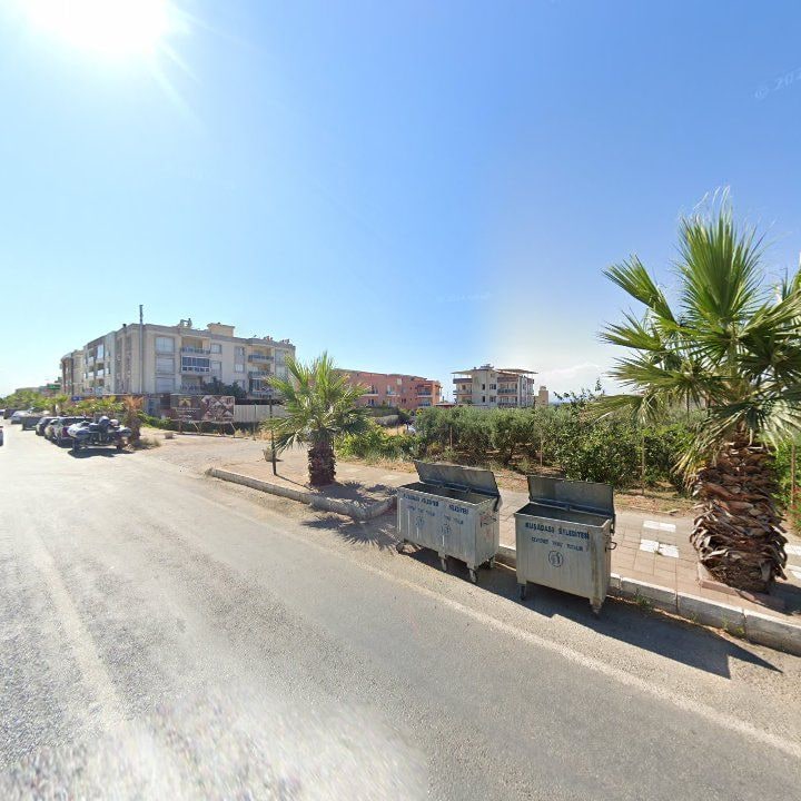 Fotoğraf 11