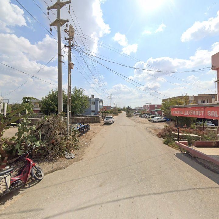 Fotoğraf 10
