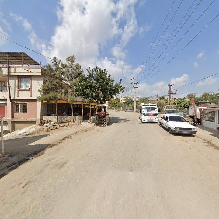Fotoğraf 8