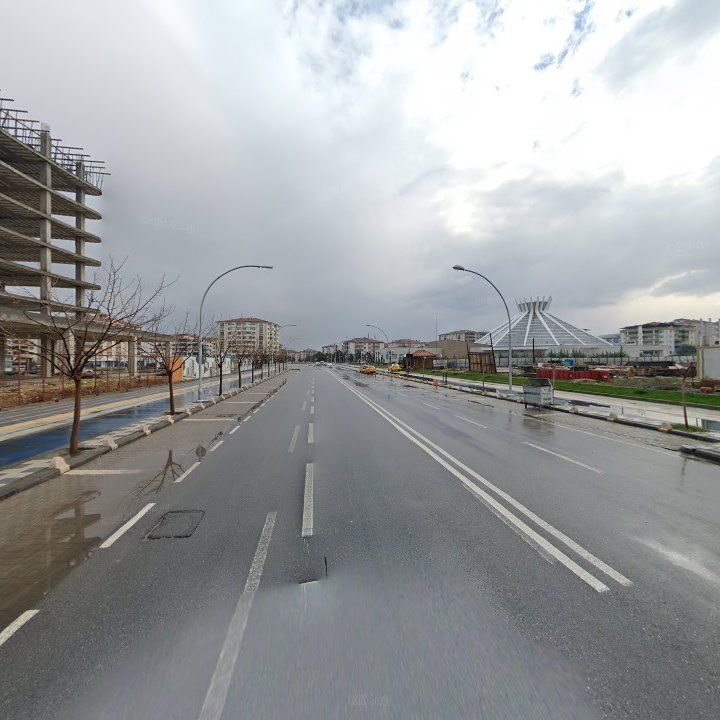 Fotoğraf 3