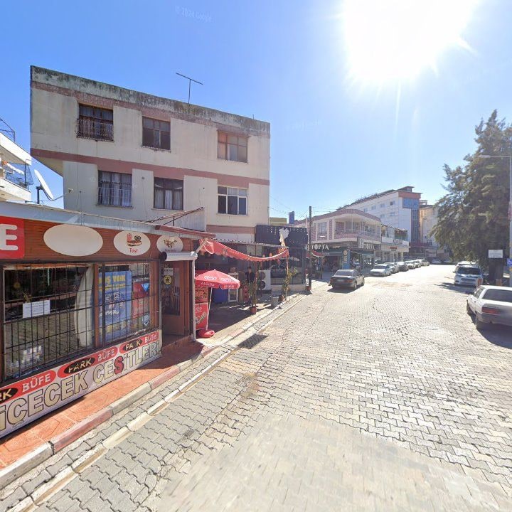 Fotoğraf 8