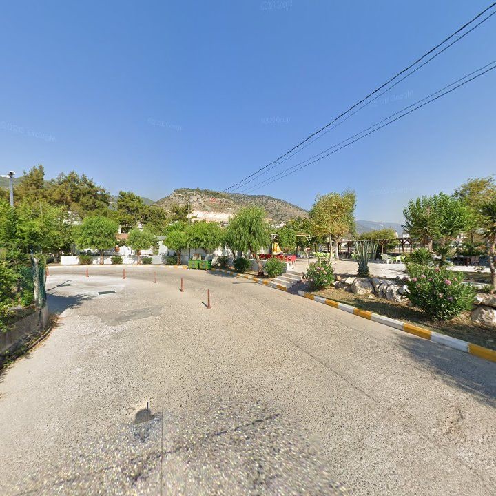 Fotoğraf 8