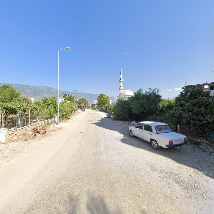 Fotoğraf 6
