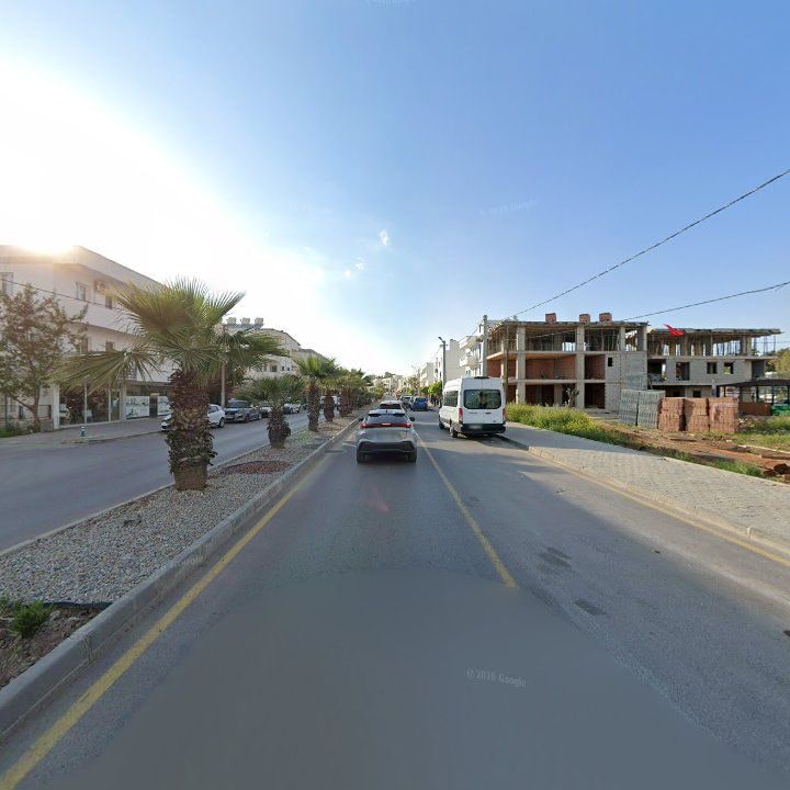 Fotoğraf 9