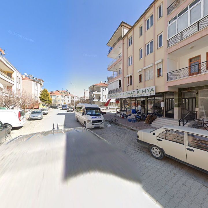 Fotoğraf 12