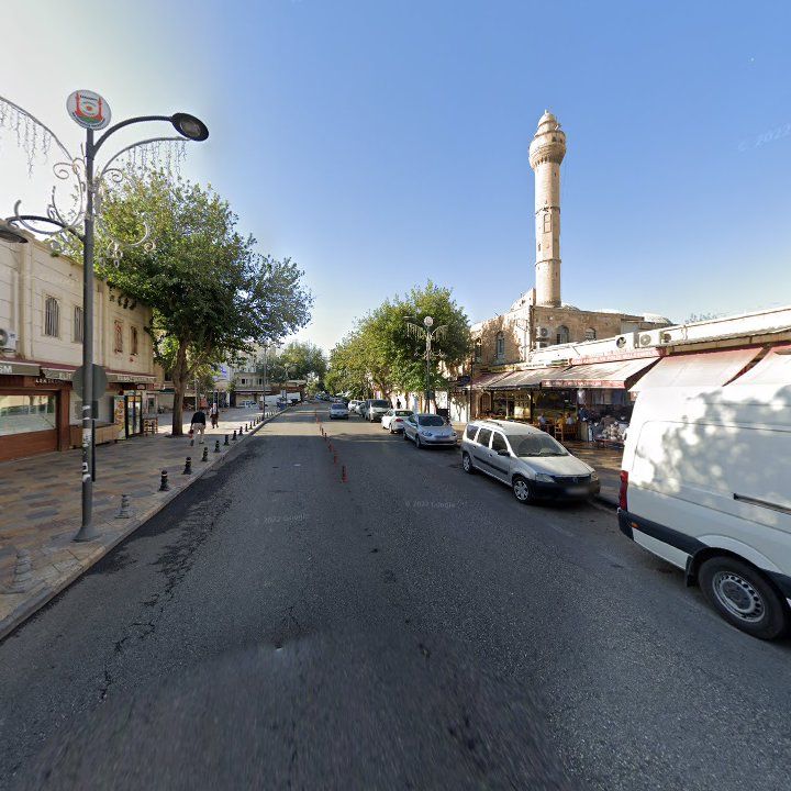Fotoğraf 14