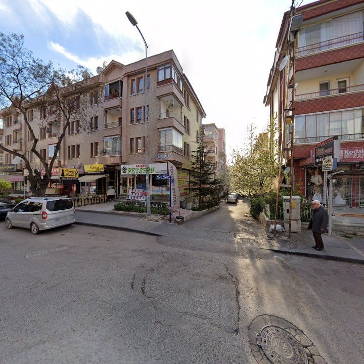 Fotoğraf 7