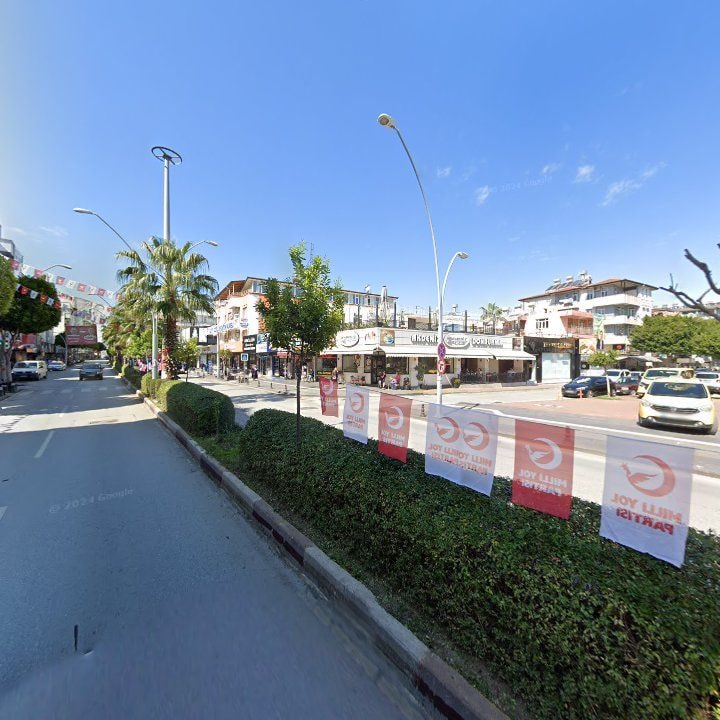 Fotoğraf 8