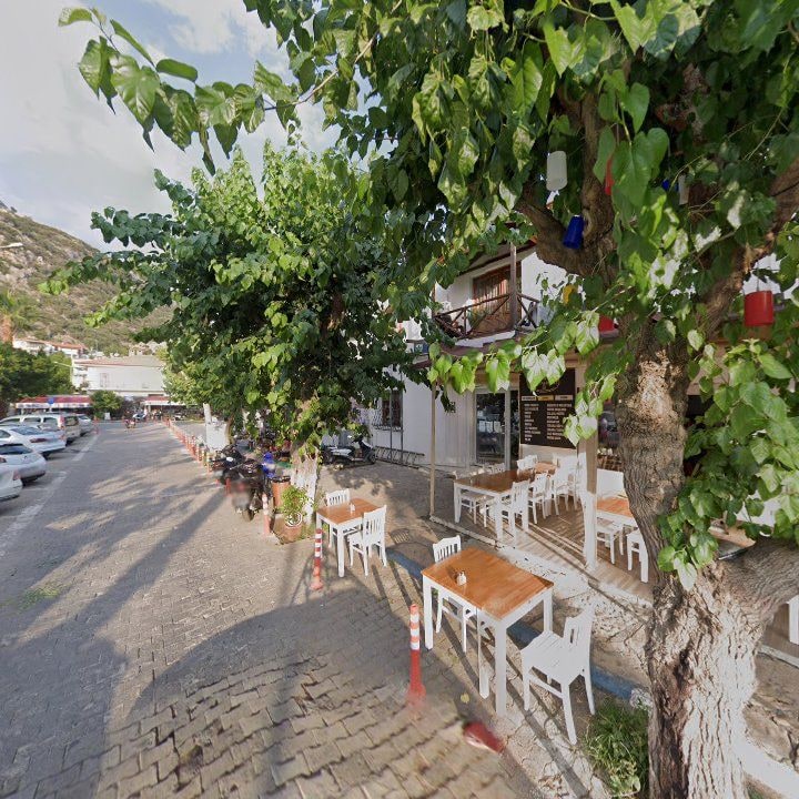 Fotoğraf 12