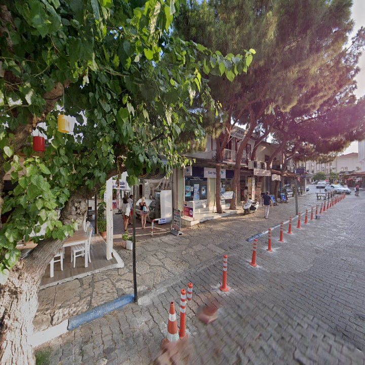 Fotoğraf 9