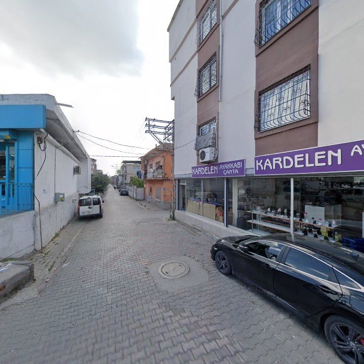 Fotoğraf 3