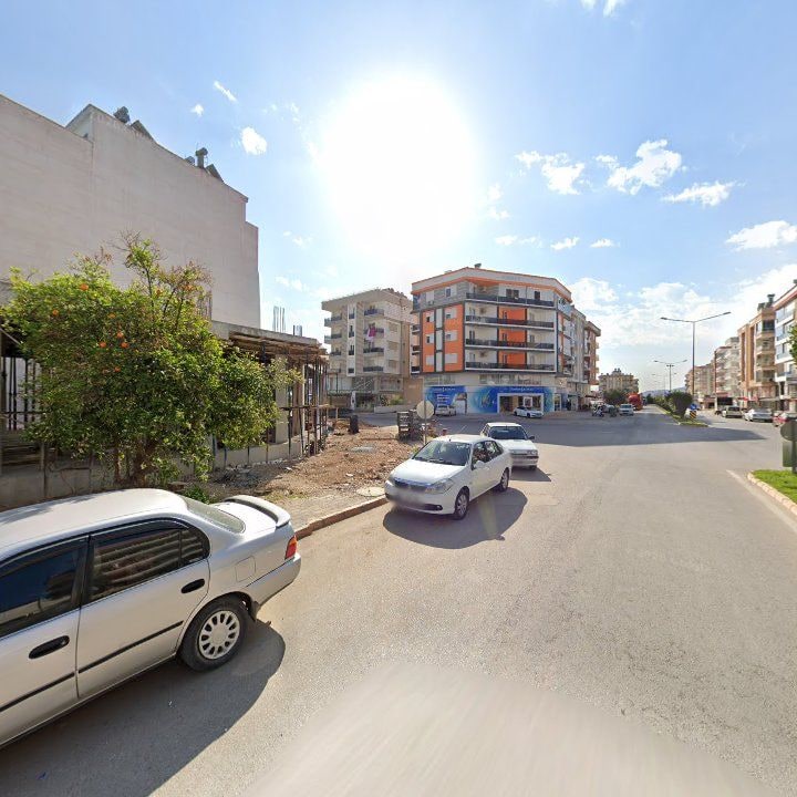 Fotoğraf 7