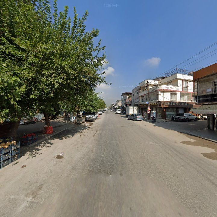 Fotoğraf 7