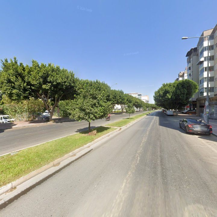 Fotoğraf 11