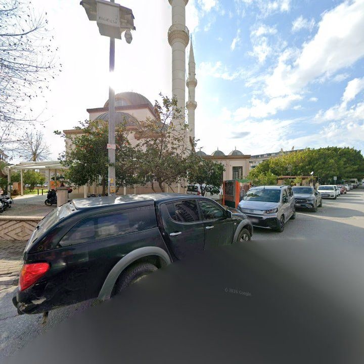 Fotoğraf 10