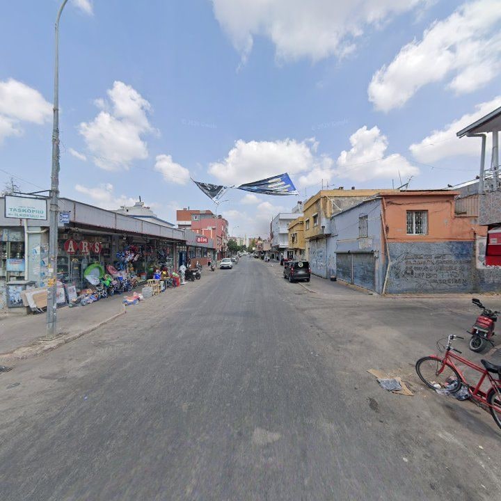 Fotoğraf 6