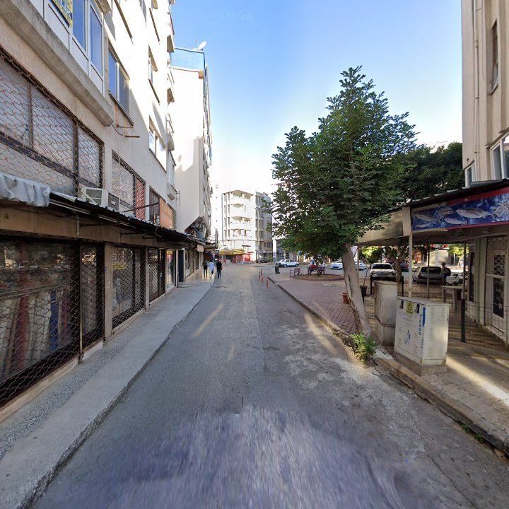 Fotoğraf 9