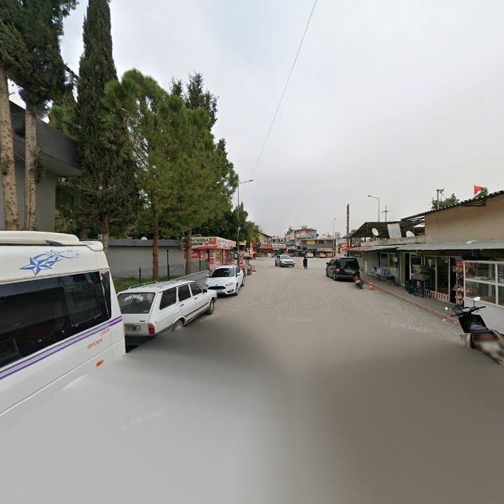 Fotoğraf 8