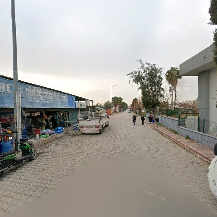 Fotoğraf 6