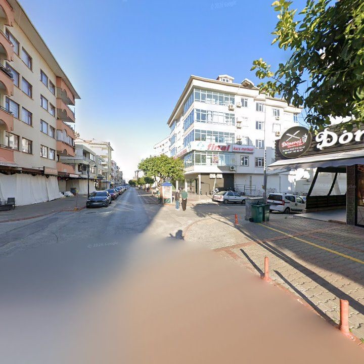 Fotoğraf 12
