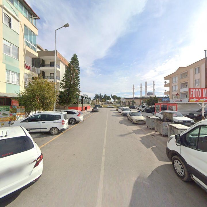 Fotoğraf 9