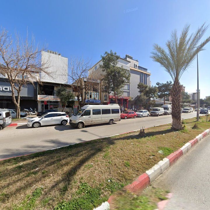 Fotoğraf 11