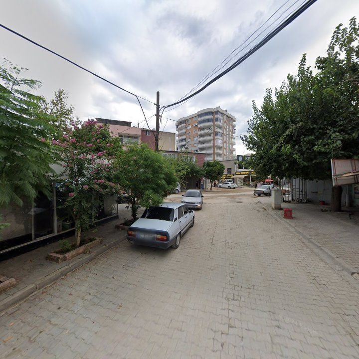 Fotoğraf 8