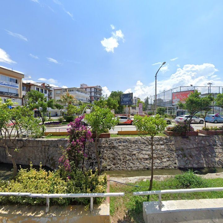 Fotoğraf 11