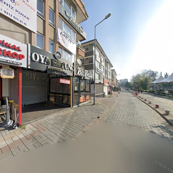 Fotoğraf 9