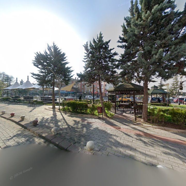 Fotoğraf 10