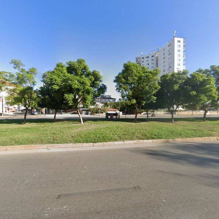 Fotoğraf 10