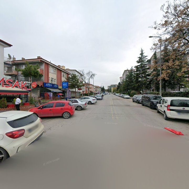 Fotoğraf 12