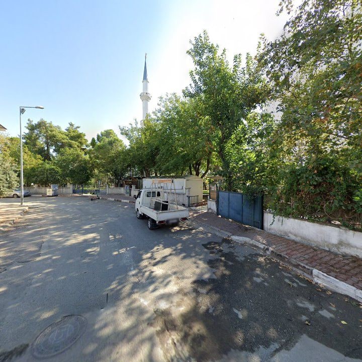 Fotoğraf 9