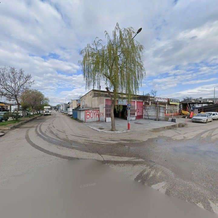 Fotoğraf 8