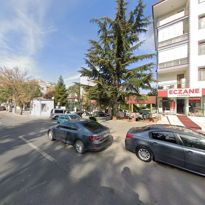 Fotoğraf 8