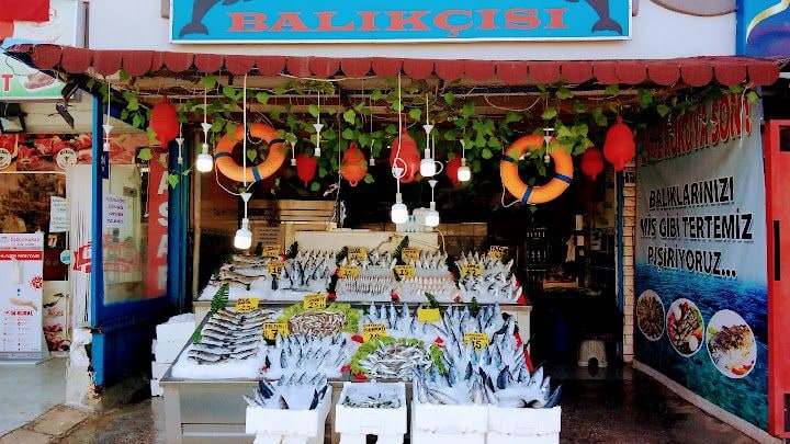 Dost Balıkçı