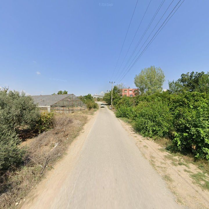 Fotoğraf 6