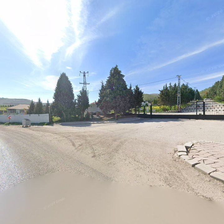 Fotoğraf 8