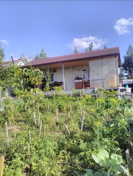 Dostlar hobi bahçesi