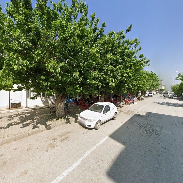 Fotoğraf 6