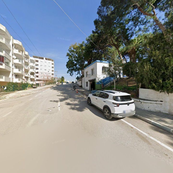 Fotoğraf 8