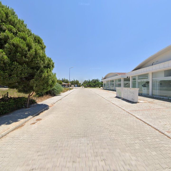 Fotoğraf 10