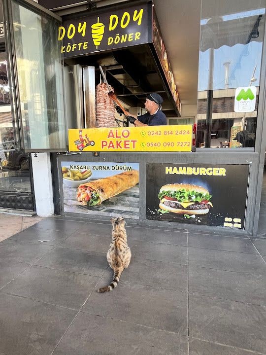 Doy Doy Döner Kemer